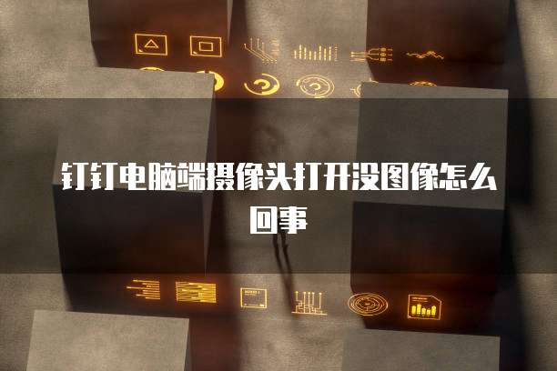 钉钉电脑端摄像头打开没图像怎么回事