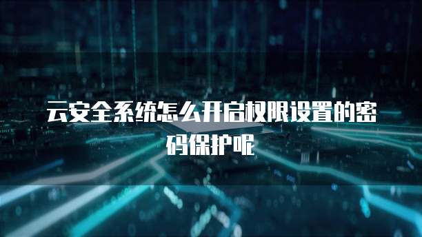 云安全系统怎么开启权限设置的密码保护呢