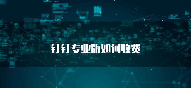 钉钉专业版如何收费