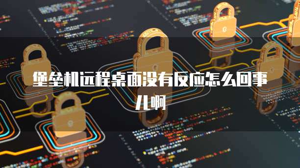 堡垒机远程桌面没有反应怎么回事儿啊