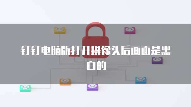 钉钉电脑版打开摄像头后画面是黑白的