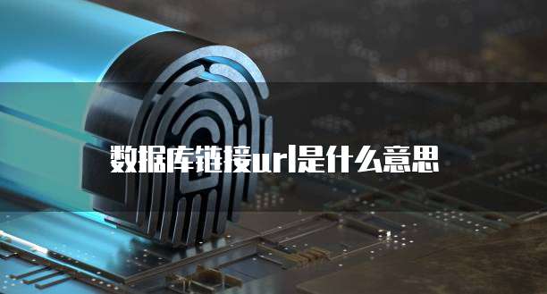 数据库链接url是什么意思
