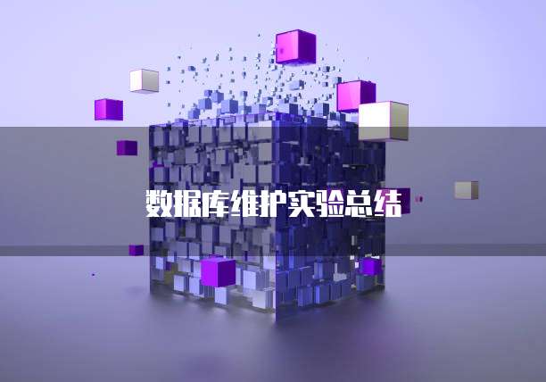 数据库维护实验总结