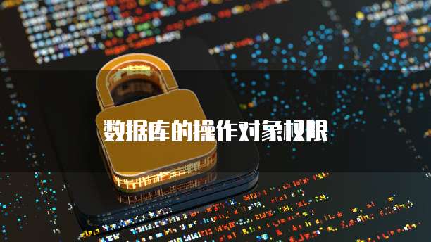 数据库的操作对象权限