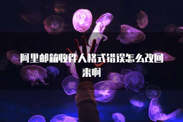 阿里邮箱收件人格式错误怎么改回来啊