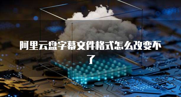 阿里云盘字幕文件格式怎么改变不了