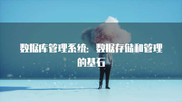 数据库管理系统：数据存储和管理的基石