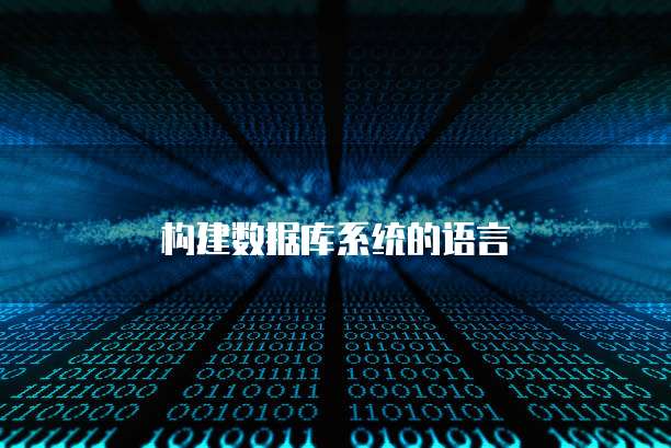构建数据库系统的语言