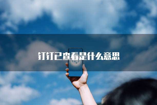 钉钉已查看是什么意思