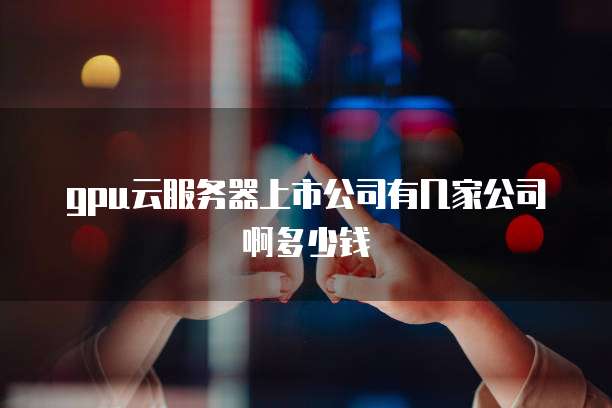 gpu云服务器上市公司有几家公司啊多少钱