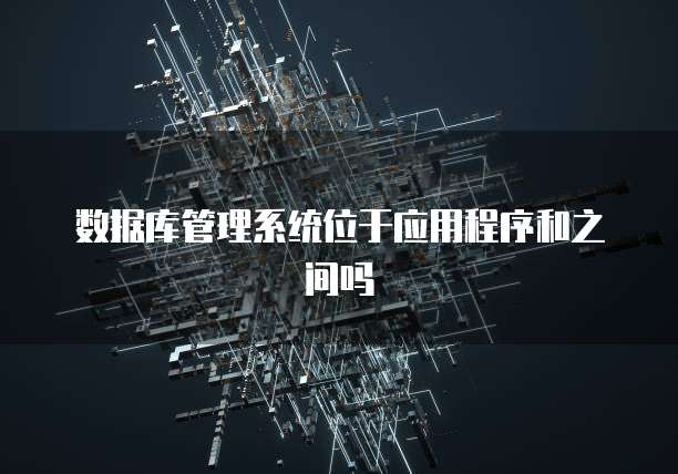 数据库管理系统位于应用程序和之间吗