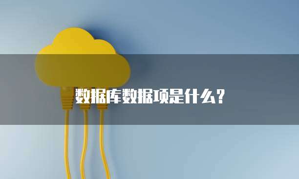 数据库数据项是什么？