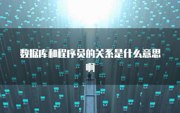 数据库和程序员的关系是什么意思啊