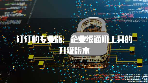 钉钉的专业版：企业级通讯工具的升级版本
