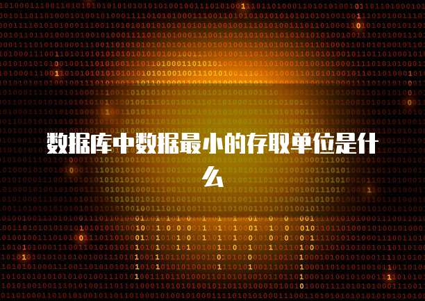 数据库中数据最小的存取单位是什么