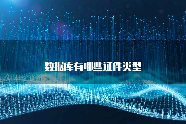 数据库有哪些证件类型