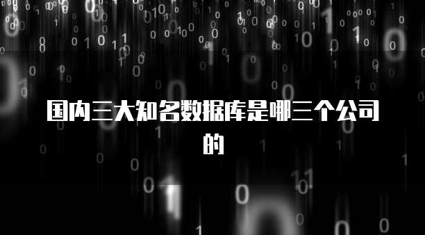 国内三大知名数据库是哪三个公司的