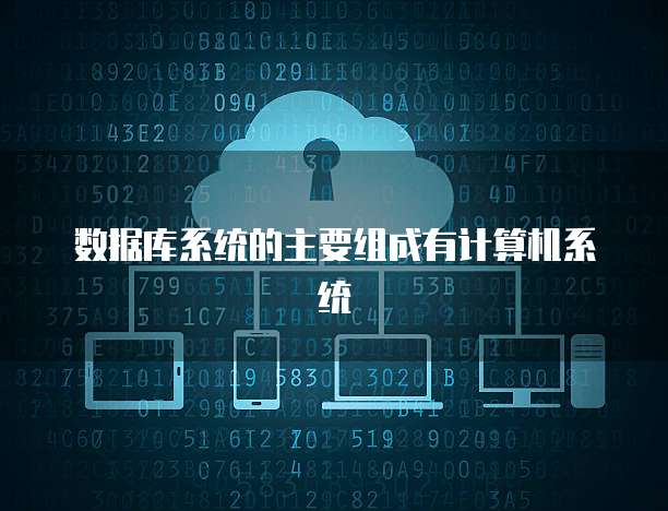 数据库系统的主要组成有计算机系统