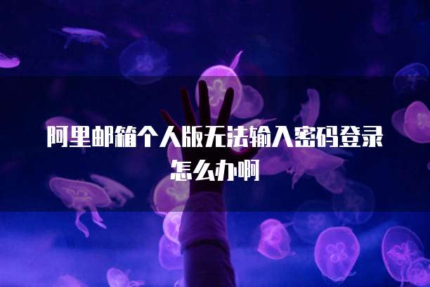 阿里邮箱个人版无法输入密码登录怎么办啊