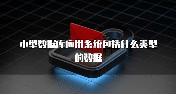 小型数据库应用系统包括什么类型的数据